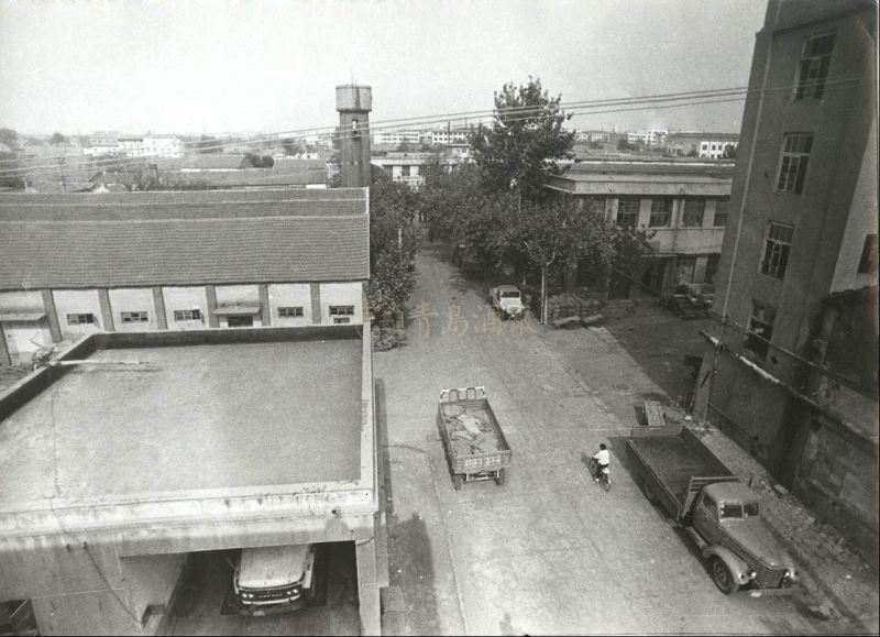 图片20.jpg